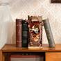 Bookshelf insert - Fall into Wonder Rolife TGB12