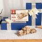 Dřevěné 3D puzzle - Model těžkého nákladního auta ROKR MC502