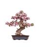 Koka 3D puzle - Sakura Bonsai Rolife TG415