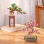Koka 3D puzle - Sakura Bonsai Rolife TG415