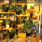Miniature house - Cathy's Flower house Rolife DG104