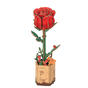 Puzzle 3D din lemn - Trandafir roșu ROWOOD TW042