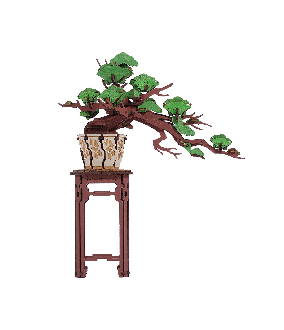 Puzzle 3D in legno - Pino sempreverde Bonsai Rolife TG510