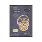 Wooden mechanical 3D puzzle - Music box starry night ROKR AMK51